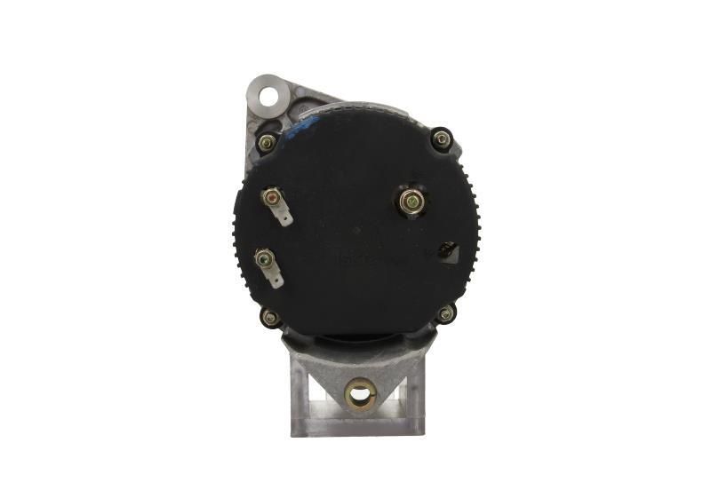 019c1eb0fea57165bd8a2cc2319f6f25 – Foto