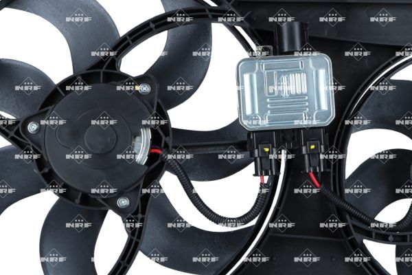 0190bcfae7ff73558a02998bf1bc2dc3 – Foto