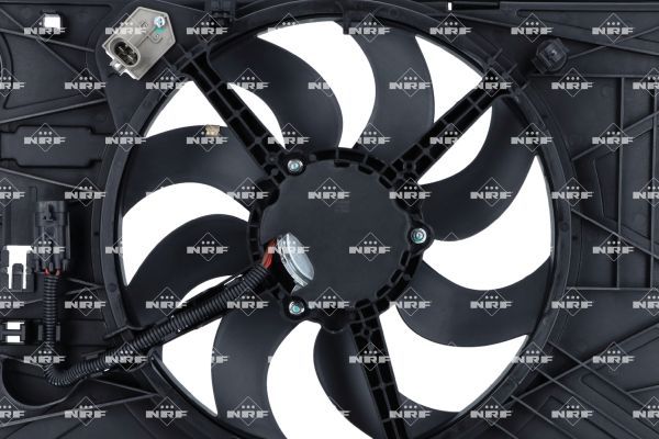 0190bbd79c4b70e3b975cf4559869bfb – Foto