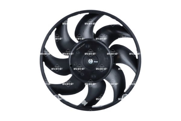 0190bbe93329733f87200745cbff6ac6 – Foto