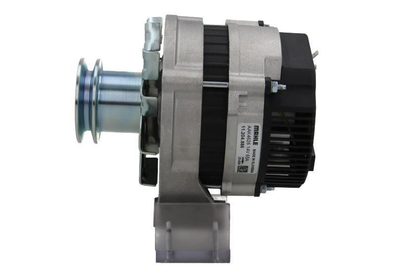 305.003.065.311 – Foto