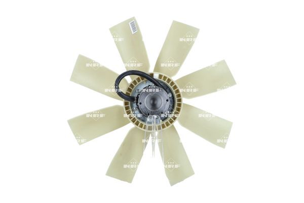 01916f1b6e947175a6bf09f4e9018116 – Foto