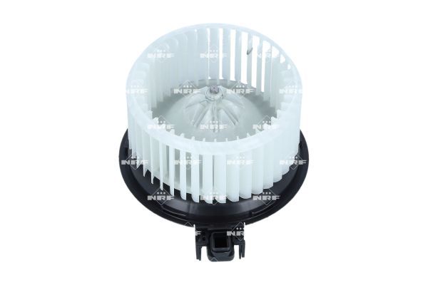 019179170008716d9b550bf68e2dfb7e – Foto