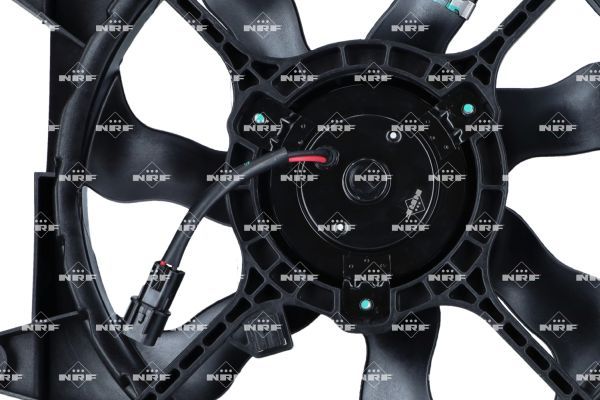 0190bc418a1470a78b9e925f3e45b2bb – Foto