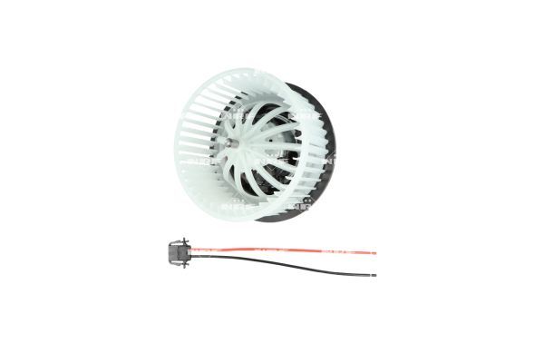 0191773bf95772ab8324d66aa38214b7 – Foto