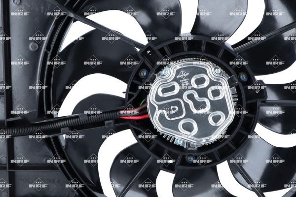 0190bc0436a470c8a6f4bdedfcf29af8 – Foto