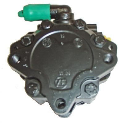Austausch Hydraulikpumpe, 0001210168-02 | 4B0145155M, 8D0145156F, 8E0145155E