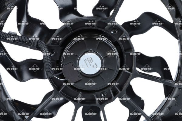 0190bcfc1ed67071aea243bfa03eb7de – Foto