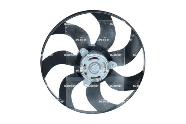 0190bca7bf0872968eb0bcdcefa90f1b – Foto